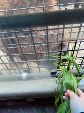 群馬サファリパークに投稿された画像（2020/10/16）