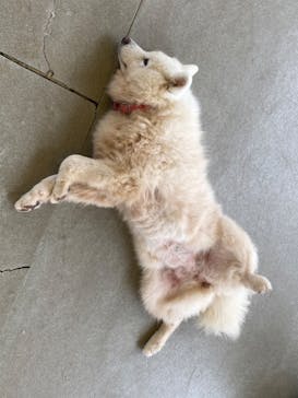 那須どうぶつ王国に投稿された画像（2020/10/16）