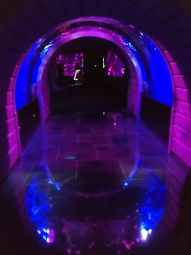 サンシャイン水族館に投稿された画像（2020/10/16）