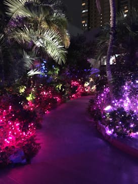 サンシャイン水族館に投稿された画像（2020/10/16）