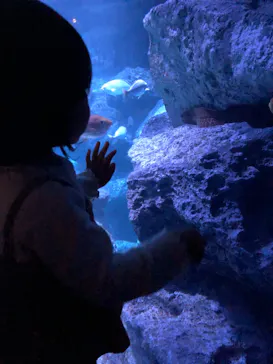 すみだ水族館に投稿された画像（2020/10/16）