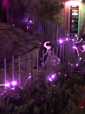 サンシャイン水族館に投稿された画像（2020/10/17）