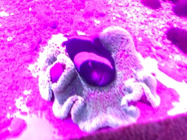 サンシャイン水族館に投稿された画像（2020/10/17）