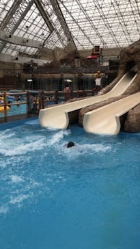 東京サマーランドに投稿された画像（2020/10/17）