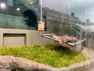 サンシャイン水族館に投稿された画像（2020/10/17）