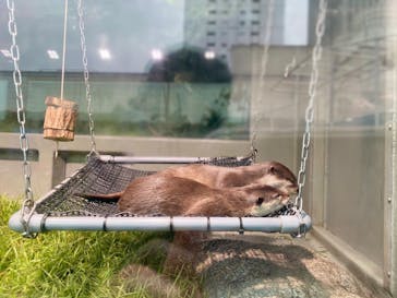 サンシャイン水族館に投稿された画像（2020/10/17）