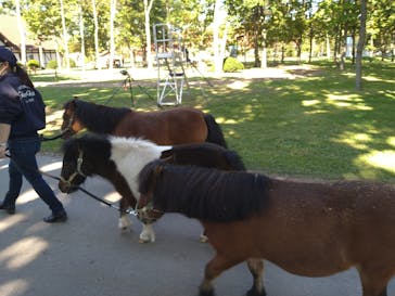 ノーザンホースパークに投稿された画像（2020/10/17）