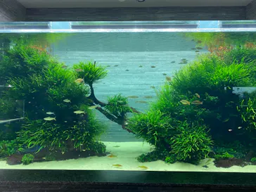 すみだ水族館に投稿された画像（2020/10/17）