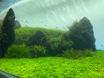 すみだ水族館に投稿された画像（2020/10/17）