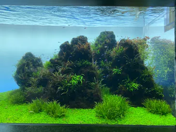 すみだ水族館に投稿された画像（2020/10/17）