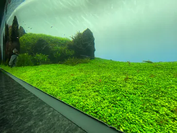 すみだ水族館に投稿された画像（2020/10/17）