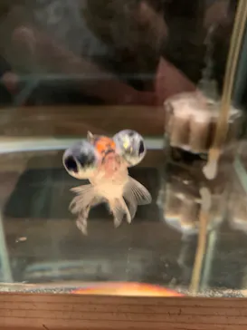 すみだ水族館に投稿された画像（2020/10/17）