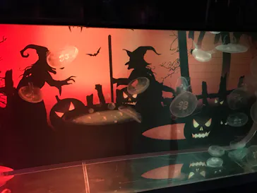 すみだ水族館に投稿された画像（2020/10/17）