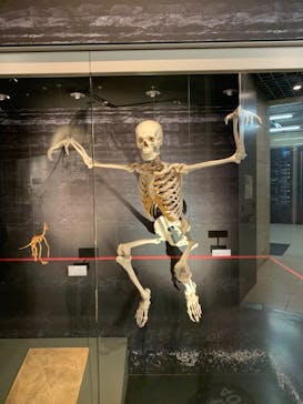 国立科学博物館に投稿された画像（2020/10/17）