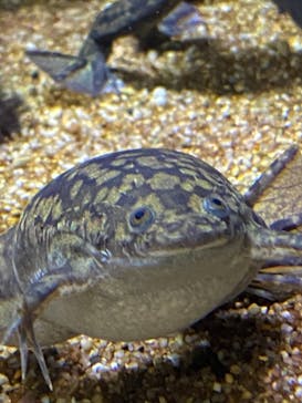 株式会社Gに投稿された画像（2020/10/17）