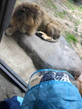 天王寺動物園に投稿された画像（2020/10/17）