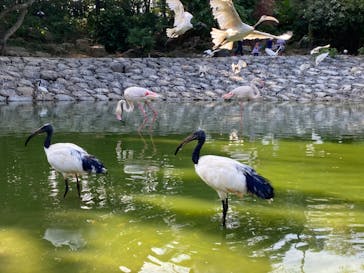 ネオパークオキナワに投稿された画像（2020/10/17）