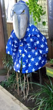 那須どうぶつ王国に投稿された画像（2020/10/17）