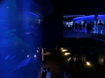 京都水族館に投稿された画像（2020/10/17）