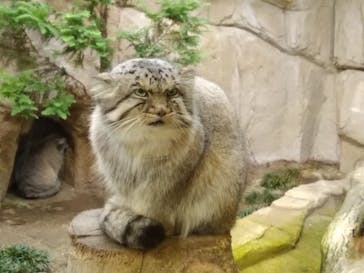 那須どうぶつ王国に投稿された画像（2020/10/17）