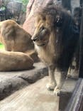 天王寺動物園に投稿された画像（2020/10/17）