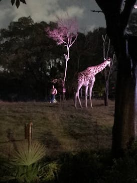 天王寺動物園に投稿された画像（2020/10/17）
