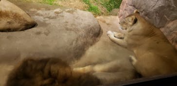 天王寺動物園に投稿された画像（2020/10/17）