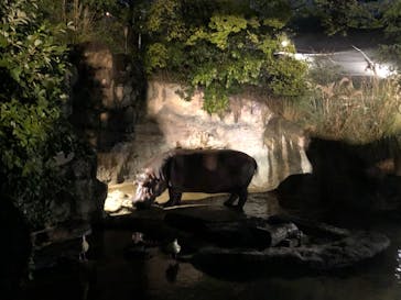天王寺動物園に投稿された画像（2020/10/17）