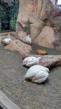 那須どうぶつ王国に投稿された画像（2020/10/17）