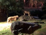 天王寺動物園に投稿された画像（2020/10/17）