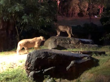 天王寺動物園に投稿された画像（2020/10/17）