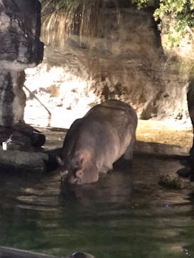 天王寺動物園に投稿された画像（2020/10/17）