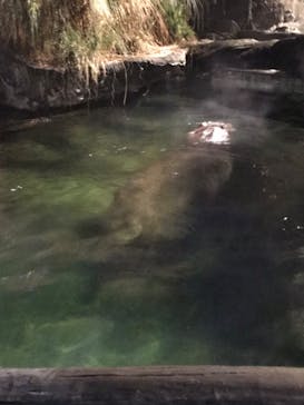 天王寺動物園に投稿された画像（2020/10/17）