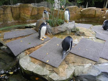 那須どうぶつ王国に投稿された画像（2020/10/17）