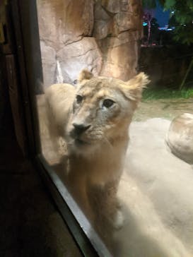 天王寺動物園に投稿された画像（2020/10/17）