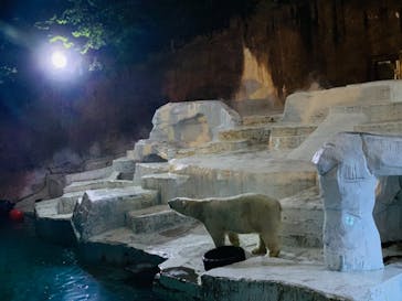 天王寺動物園に投稿された画像（2020/10/17）