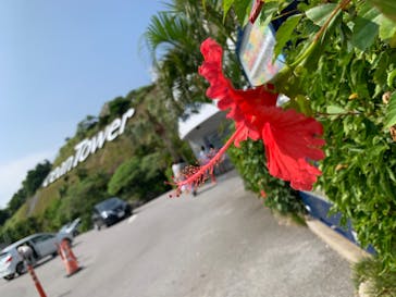 古宇利オーシャンタワーに投稿された画像（2020/10/17）