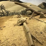 天王寺動物園に投稿された画像（2020/10/18）