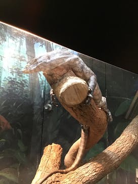 天王寺動物園に投稿された画像（2020/10/17）