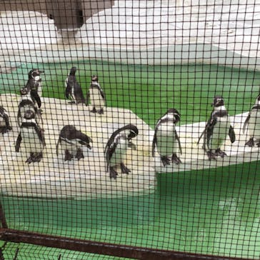 天王寺動物園に投稿された画像（2020/10/17）