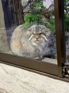 那須どうぶつ王国に投稿された画像（2020/10/17）