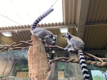 那須どうぶつ王国に投稿された画像（2020/10/17）