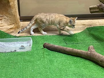 那須どうぶつ王国に投稿された画像（2020/10/17）