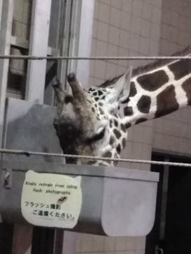 天王寺動物園に投稿された画像（2020/10/17）