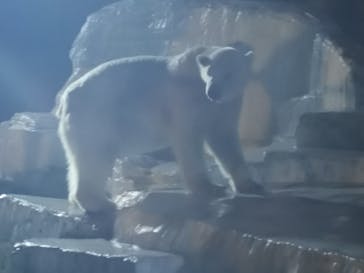 天王寺動物園に投稿された画像（2020/10/17）