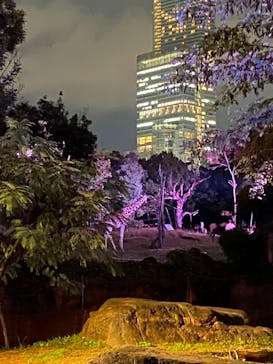 天王寺動物園に投稿された画像（2020/10/18）