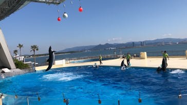 マリンワールド海の中道に投稿された画像（2020/10/18）