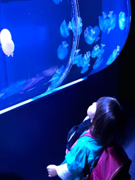 すみだ水族館に投稿された画像（2020/10/18）