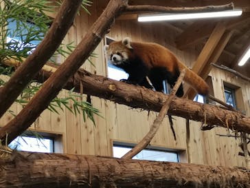 伊豆シャボテン動物公園に投稿された画像（2020/10/18）