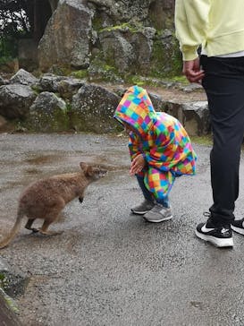 伊豆シャボテン動物公園に投稿された画像（2020/10/18）